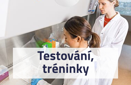 Testování, tréninky