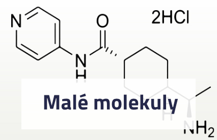 Malé molekuly