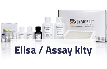 Elisa / Assay kity