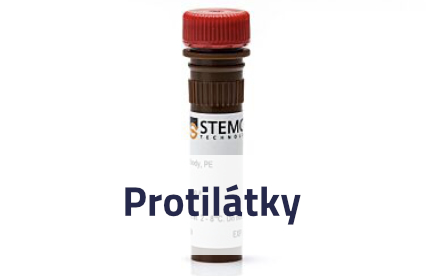 Protilátky